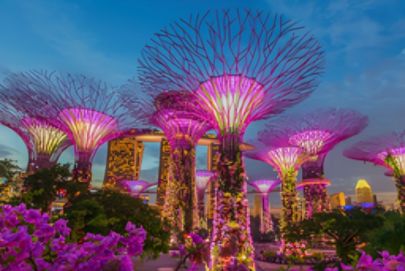 Singapore's gardens glow at night, vibrant flora on display—experience it with Atria Tourist