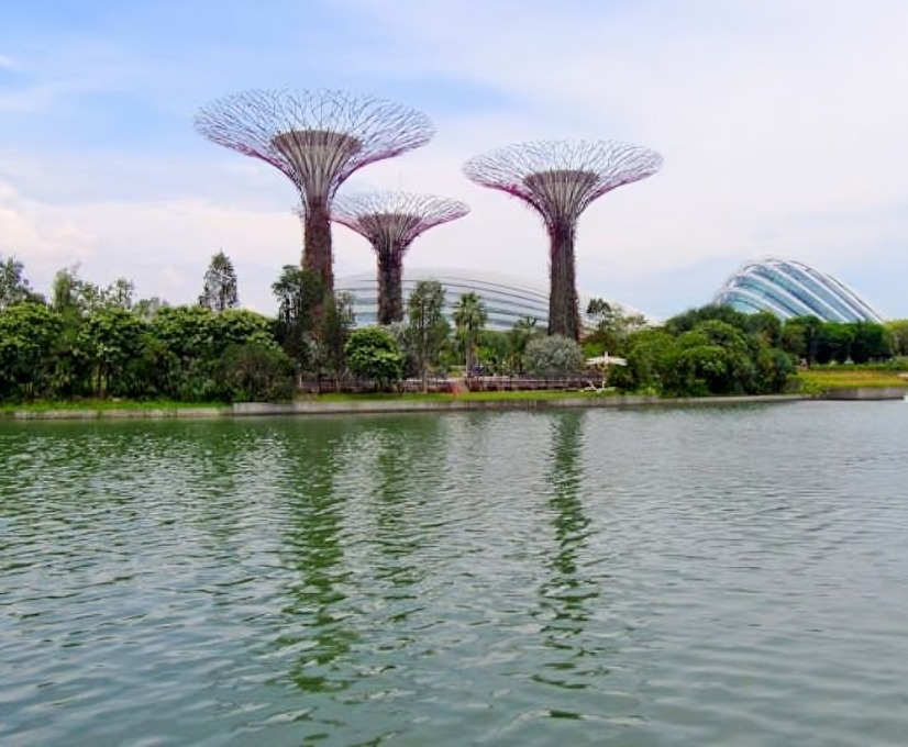 Singapore's Gardens by the Bay with Atria Tourist—a vibrant journey through stunning flora.