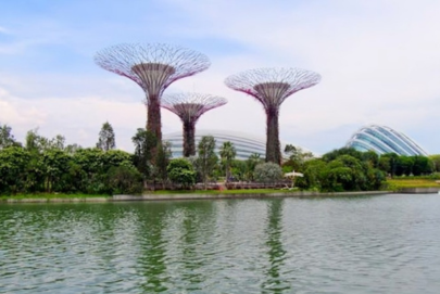 Experience Singapore's Gardens by the Bay in full bloom with Atria Tourist's top tours.