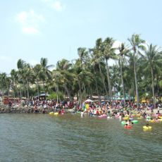 A lively beach scene with a crowd soaking up the sun and palm trees, organized by Atria Tourist.