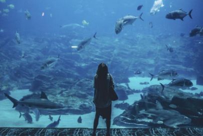 A woman stands before a giant aquarium, exploring marine wonders with Atria Tourist Agency.