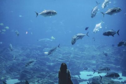 A woman marvels at sharks in an aquarium, highlighting Atria Tourist's best marine tour experiences.