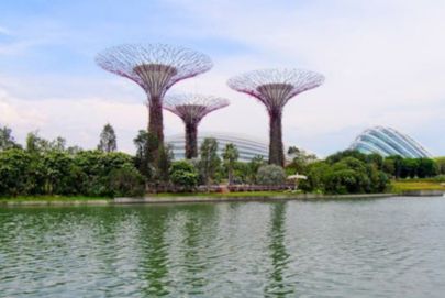 Experience Singapore’s Gardens by the Bay in vibrant detail, captured by Atria Tourist.